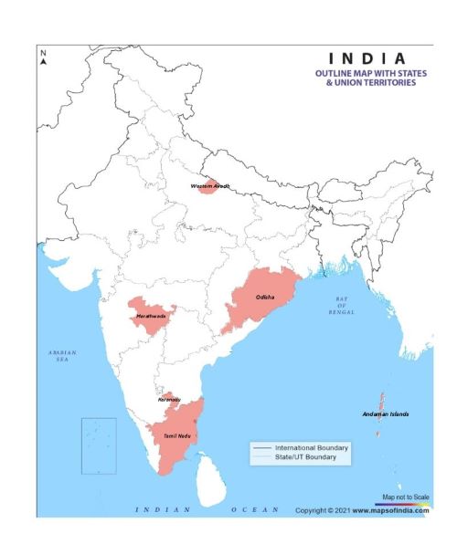 Image Here